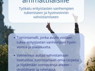 Somekampanjan visuaalinen suunnittelu